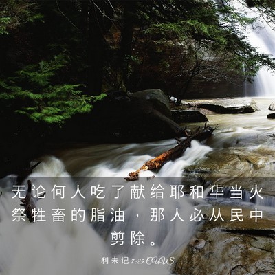 Picture 03 - 利 未 记 7:25 CUVS - 无 论 何 人 吃 了 献 给 耶 和 华 当 - Bible Verse Picture