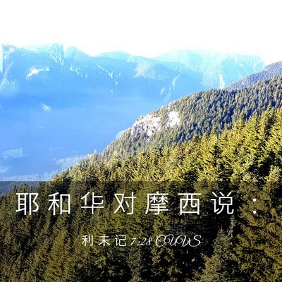 Picture 03 - 利 未 记 7:28 CUVS - 耶 和 华 对 摩 西 说 - Bible Verse Picture