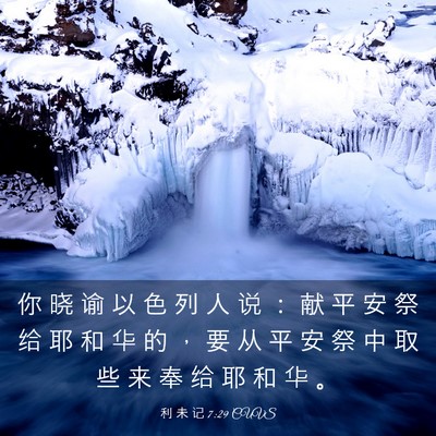 Picture 03 - 利 未 记 7:29 CUVS - 你 晓 谕 以 色 列 人 说 ： 献 平 安 - Bible Verse Picture