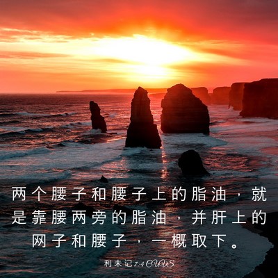 Picture 03 - 利 未 记 7:4 CUVS - 两 个 腰 子 和 腰 子 上 的 脂 油 ， - Bible Verse Picture
