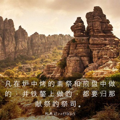 Picture 03 - 利 未 记 7:9 CUVS - 凡 在 炉 中 烤 的 素 祭 和 煎 盘 中 - Bible Verse Picture