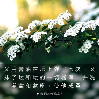 Picture 03 - 利 未 记 8:11 CUVS - 又 用 膏 油 在 坛 上 弹 了 七 次 ， - Bible Verse Picture