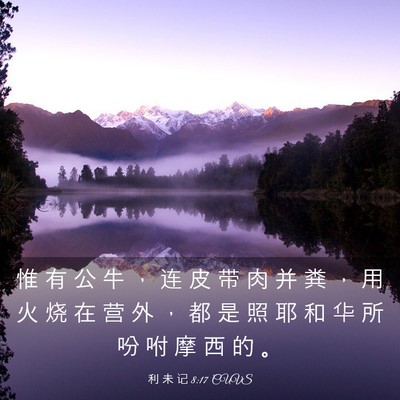 Picture 03 - 利 未 记 8:17 CUVS - 惟 有 公 牛 ， 连 皮 带 肉 并 粪 ， - Bible Verse Picture