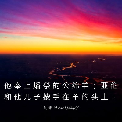 Picture 03 - 利 未 记 8:18 CUVS - 他 奉 上 燔 祭 的 公 绵 羊 ； 亚 伦 - Bible Verse Picture