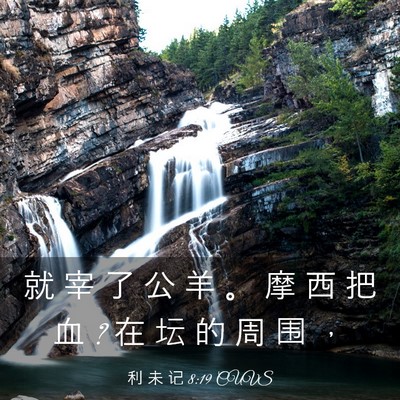 Picture 03 - 利 未 记 8:19 CUVS - 就 宰 了 公 羊 。 摩 西 把 血 ? 在 坛 - Bible Verse Picture