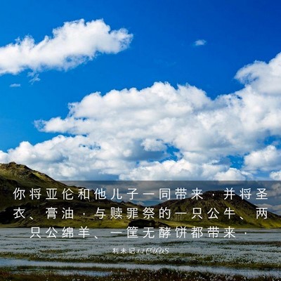 Picture 03 - 利 未 记 8:2 CUVS - 你 将 亚 伦 和 他 儿 子 一 同 带 来 - Bible Verse Picture