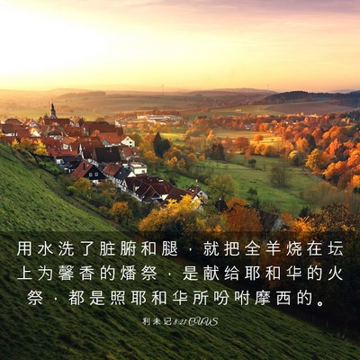 Picture 03 - 利 未 记 8:21 CUVS - 用 水 洗 了 脏 腑 和 腿 ， 就 把 全 - Bible Verse Picture
