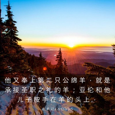 Picture 03 - 利 未 记 8:22 CUVS - 他 又 奉 上 第 二 只 公 绵 羊 ， 就 - Bible Verse Picture