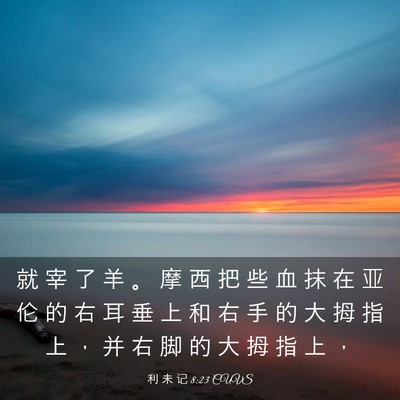 Picture 03 - 利 未 记 8:23 CUVS - 就 宰 了 羊 。 摩 西 把 些 血 抹 在 - Bible Verse Picture