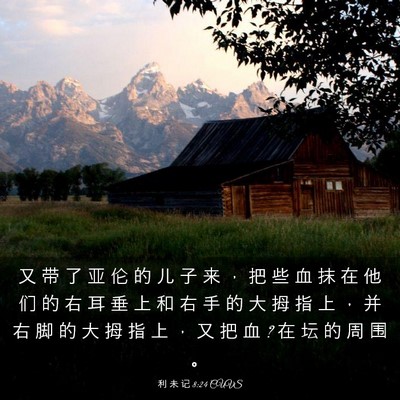 Picture 03 - 利 未 记 8:24 CUVS - 又 带 了 亚 伦 的 儿 子 来 ， 把 些 - Bible Verse Picture