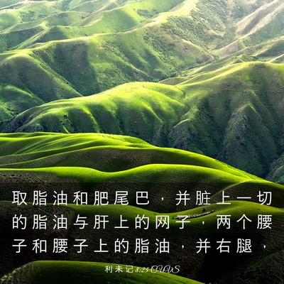 Picture 03 - 利 未 记 8:25 CUVS - 取 脂 油 和 肥 尾 巴 ， 并 脏 上 一 - Bible Verse Picture