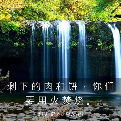 Picture 03 - 利 未 记 8:32 CUVS - 剩 下 的 肉 和 饼 ， 你 们 要 用 火 - Bible Verse Picture