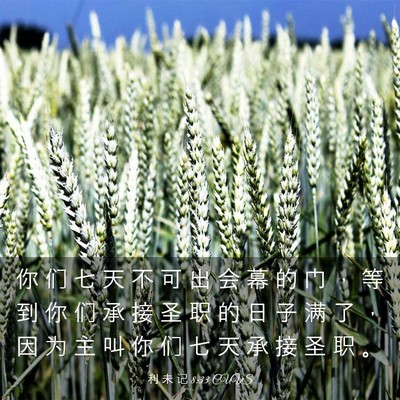 Picture 03 - 利 未 记 8:33 CUVS - 你 们 七 天 不 可 出 会 幕 的 门 ， - Bible Verse Picture