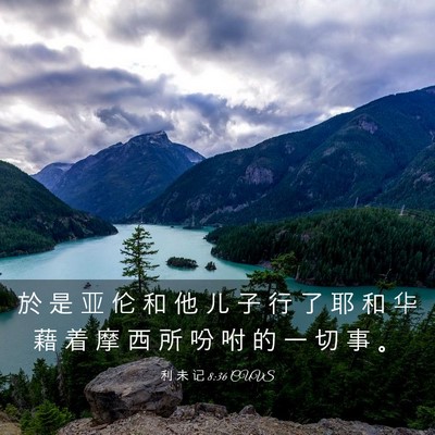 Picture 03 - 利 未 记 8:36 CUVS - 於 是 亚 伦 和 他 儿 子 行 了 耶 和 - Bible Verse Picture