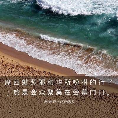 Picture 03 - 利 未 记 8:4 CUVS - 摩 西 就 照 耶 和 华 所 吩 咐 的 行 - Bible Verse Picture