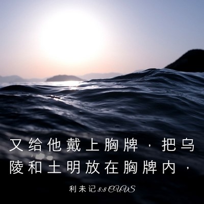 Picture 03 - 利 未 记 8:8 CUVS - 又 给 他 戴 上 胸 牌 ， 把 乌 陵 和 - Bible Verse Picture