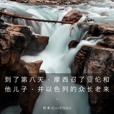 Picture 03 - 利 未 记 9:1 CUVS - 到 了 第 八 天 ， 摩 西 召 了 亚 伦 - Bible Verse Picture