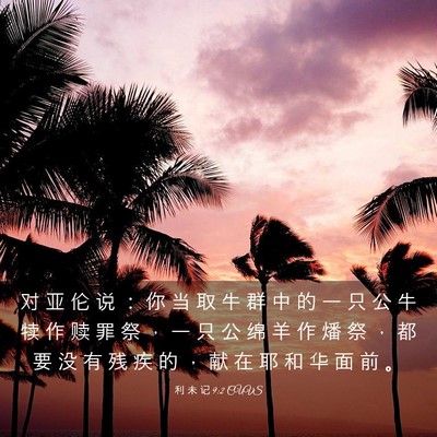 Picture 03 - 利 未 记 9:2 CUVS - 对 亚 伦 说 ： 你 当 取 牛 群 中 的 - Bible Verse Picture