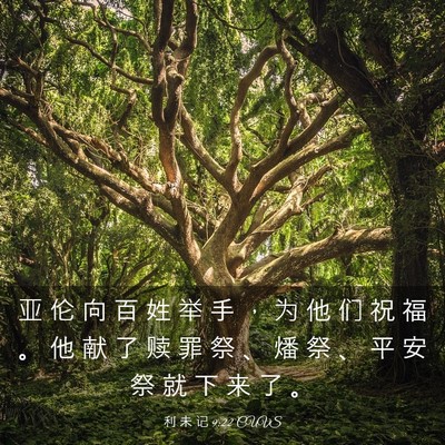 Picture 03 - 利 未 记 9:22 CUVS - 亚 伦 向 百 姓 举 手 ， 为 他 们 祝 - Bible Verse Picture