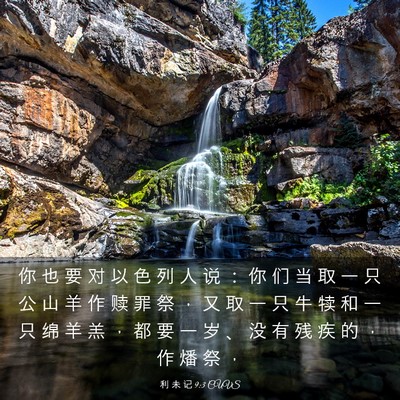 Picture 03 - 利 未 记 9:3 CUVS - 你 也 要 对 以 色 列 人 说 ： 你 们 - Bible Verse Picture