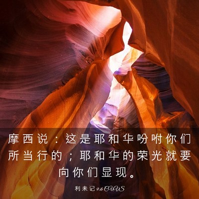 Picture 03 - 利 未 记 9:6 CUVS - 摩 西 说 ： 这 是 耶 和 华 吩 咐 你 - Bible Verse Picture