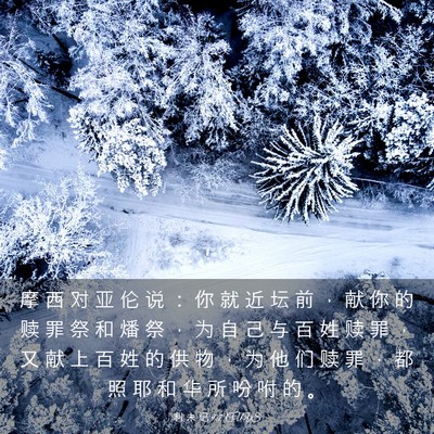 Picture 03 - 利 未 记 9:7 CUVS - 摩 西 对 亚 伦 说 ： 你 就 近 坛 前 - Bible Verse Picture