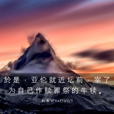 Picture 03 - 利 未 记 9:8 CUVS - 於 是 ， 亚 伦 就 近 坛 前 ， 宰 了 - Bible Verse Picture