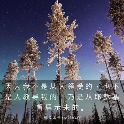 Picture 03 - 加 拉 太 书 1:12 CUVS - 因 为 我 不 是 从 人 领 受 的 ， 也 - Bible Verse Picture