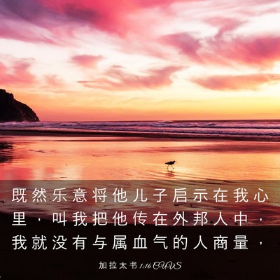 Picture 03 - 加 拉 太 书 1:16 CUVS - 既 然 乐 意 将 他 儿 子 启 示 在 我 - Bible Verse Picture
