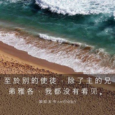 Picture 03 - 加 拉 太 书 1:19 CUVS - 至 於 别 的 使 徒 ， 除 了 主 的 兄 - Bible Verse Picture