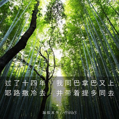 Picture 03 - 加 拉 太 书 2:1 CUVS - 过 了 十 四 年 ， 我 同 巴 拿 巴 又 - Bible Verse Picture