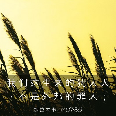 Picture 03 - 加 拉 太 书 2:15 CUVS - 我 们 这 生 来 的 犹 太 人 ， 不 是 - Bible Verse Picture
