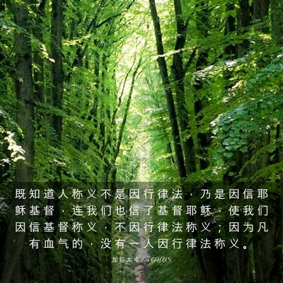 Picture 03 - 加 拉 太 书 2:16 CUVS - 既 知 道 人 称 义 不 是 因 行 律 法 - Bible Verse Picture