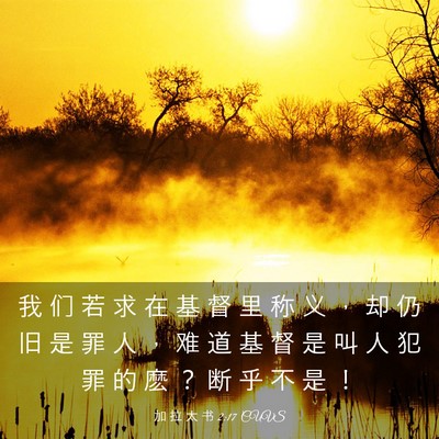 Picture 03 - 加 拉 太 书 2:17 CUVS - 我 们 若 求 在 基 督 里 称 义 ， 却 - Bible Verse Picture