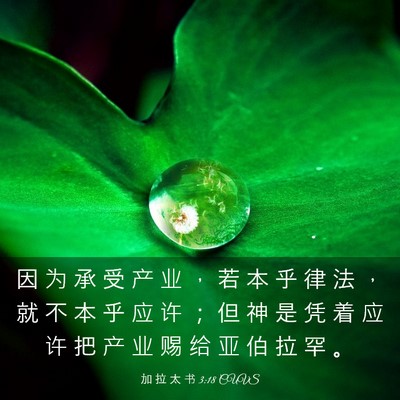 Picture 03 - 加 拉 太 书 3:18 CUVS - 因 为 承 受 产 业 ， 若 本 乎 律 法 - Bible Verse Picture