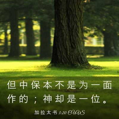 Picture 03 - 加 拉 太 书 3:20 CUVS - 但 中 保 本 不 是 为 一 面 作 的 ； - Bible Verse Picture