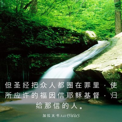 Picture 03 - 加 拉 太 书 3:22 CUVS - 但 圣 经 把 众 人 都 圈 在 罪 里 ， - Bible Verse Picture