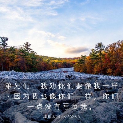 Picture 03 - 加 拉 太 书 4:12 CUVS - 弟 兄 们 ， 我 劝 你 们 要 像 我 一 - Bible Verse Picture