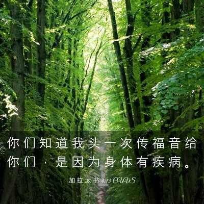 Picture 03 - 加 拉 太 书 4:13 CUVS - 你 们 知 道 我 头 一 次 传 福 音 给 - Bible Verse Picture