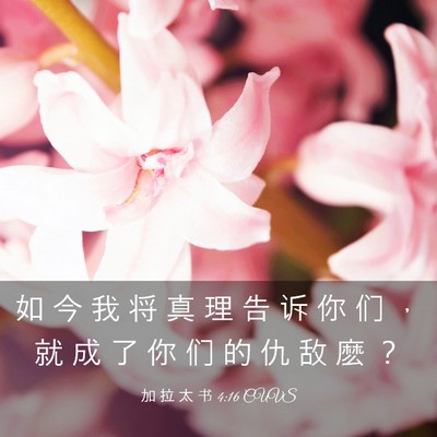 Picture 03 - 加 拉 太 书 4:16 CUVS - 如 今 我 将 真 理 告 诉 你 们 ， 就 - Bible Verse Picture