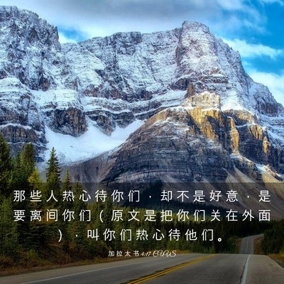 Picture 03 - 加 拉 太 书 4:17 CUVS - 那 些 人 热 心 待 你 们 ， 却 不 是 - Bible Verse Picture