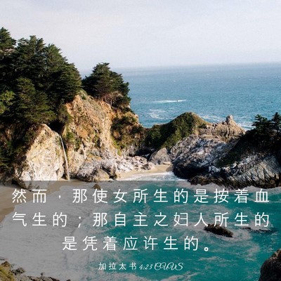 Picture 03 - 加 拉 太 书 4:23 CUVS - 然 而 ， 那 使 女 所 生 的 是 按 着 - Bible Verse Picture