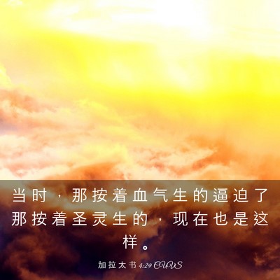 Picture 03 - 加 拉 太 书 4:29 CUVS - 当 时 ， 那 按 着 血 气 生 的 逼 迫 - Bible Verse Picture