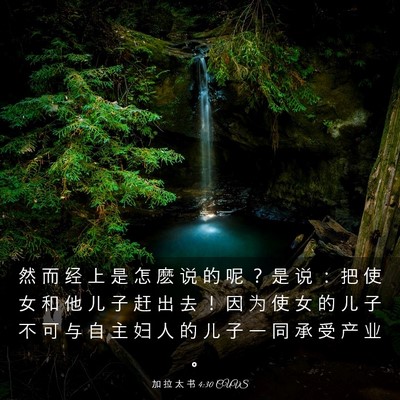 Picture 03 - 加 拉 太 书 4:30 CUVS - 然 而 经 上 是 怎 麽 说 的 呢 ？ 是 - Bible Verse Picture
