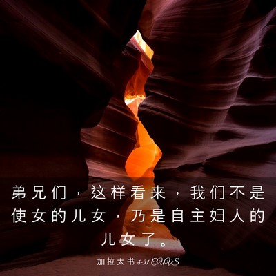 Picture 03 - 加 拉 太 书 4:31 CUVS - 弟 兄 们 ， 这 样 看 来 ， 我 们 不 - Bible Verse Picture