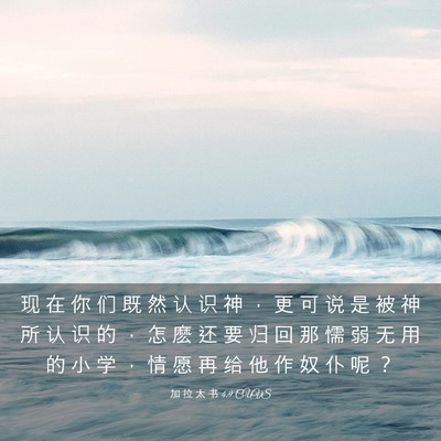 Picture 03 - 加 拉 太 书 4:9 CUVS - 现 在 你 们 既 然 认 识 神 ， 更 可 - Bible Verse Picture