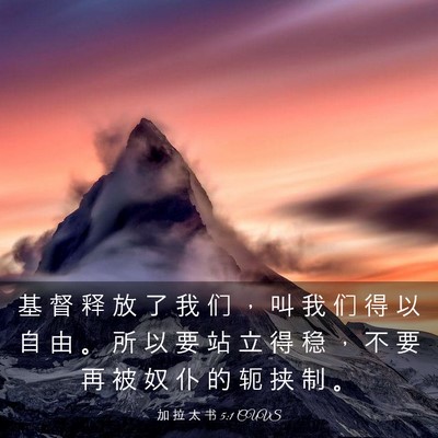 Picture 03 - 加 拉 太 书 5:1 CUVS - 基 督 释 放 了 我 们 ， 叫 我 们 得 - Bible Verse Picture