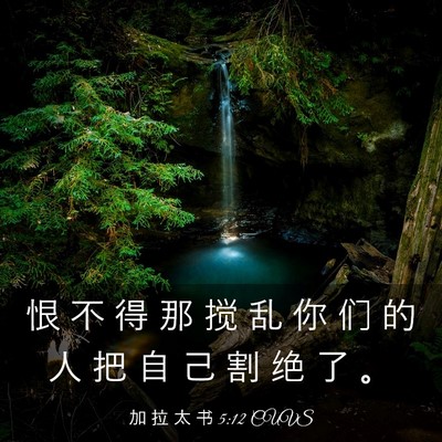 Picture 03 - 加 拉 太 书 5:12 CUVS - 恨 不 得 那 搅 乱 你 们 的 人 把 自 - Bible Verse Picture