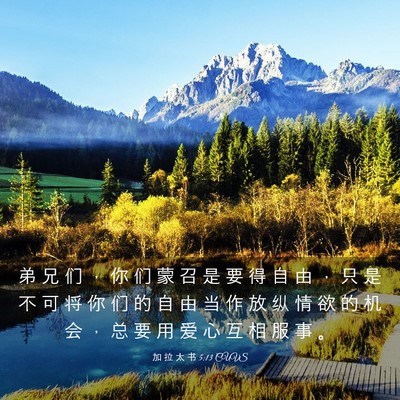 Picture 03 - 加 拉 太 书 5:13 CUVS - 弟 兄 们 ， 你 们 蒙 召 是 要 得 自 - Bible Verse Picture