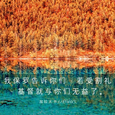 Picture 03 - 加 拉 太 书 5:2 CUVS - 我 保 罗 告 诉 你 们 ， 若 受 割 礼 - Bible Verse Picture